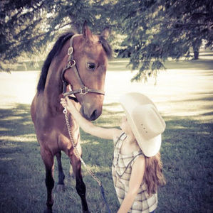 Meet your Posher, Lili-anne